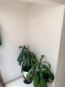 Hotel y Restaurante Los Almendros