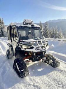 Rezidence Alpina - Ski In Ski Out - Apartmán 27