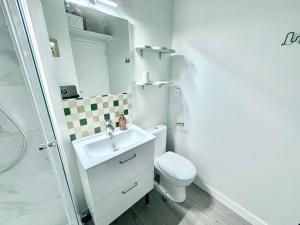 Studio Cosy Pargaminières - 500m Capitole