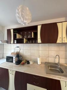 Palas Prime Studios - 2 min Palas Mall Iasi