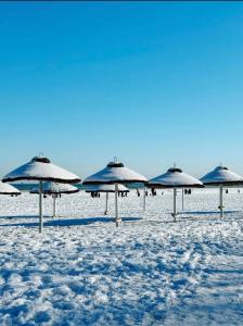 Sopot Marina Beach Elegance
