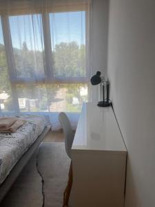 ManiLac au bord du lac