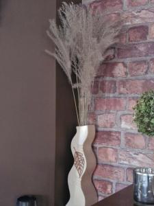 Domek Wypoczynkowy całoroczny U Agi z balią z jacuzzi i sauną