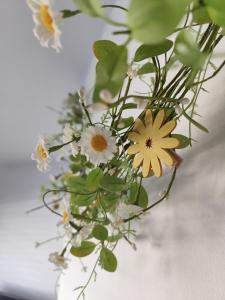 Waterfront Nieuwpoort