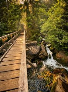 Rezidence Alpina - Ski In Ski Out - Apartmán 27