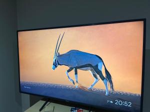 Villa Sarcapos Castiadas img2