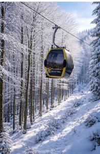 HikeBike Apartments 2 -Beskidy-Dębowiec-Standard Premium-Garaż