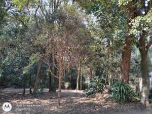 D Pedro Suite in Serra da Cantareira