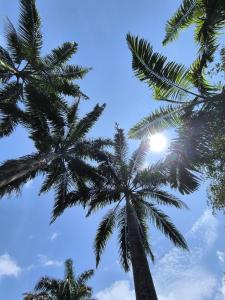 Beach House in Ayampe with private pool