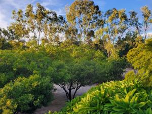 Suite parentale nature et plage