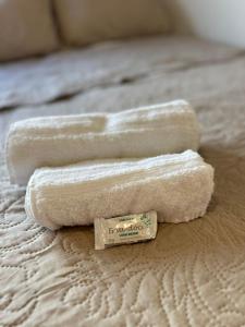 Perto da Praia do Forte - Tudo a Pé - Pet