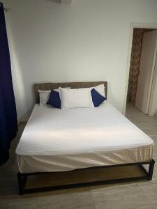 الشيخ زايد مقابل مول العرب