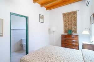 Olivo, Finca del Alamo