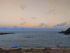 Esencia en cala reona