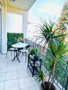 T2 Carre Or Nice Rue Pietonne