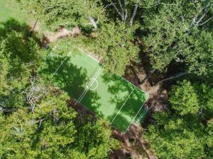 Escapada para dos en Pucón, bosque nativo