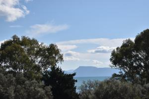 Ariti Luxury Apartment