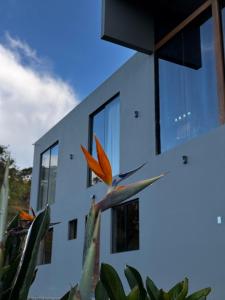 Villa Rivera