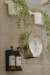 Aparta Hotel Loft 1985 Iwiwi