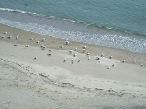 Seaside Hotel Kamome