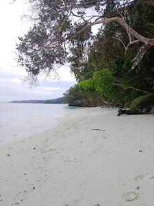 Homestay Yenbeyar Raja Ampat