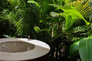 Modern Wellness Retreat Icebath Pool Zen Patio