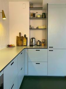 Artists Apartment By Nørrebroparken