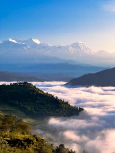 Gaurishankar organic home stay