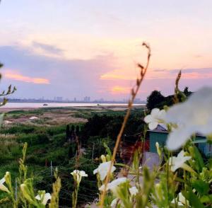 Tv Paradise Hotel & Resort