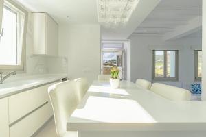 Eidolion Essence -Cycladic Villa with Private Plunge Pool for 10 Guests