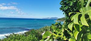 Seafront Apartment with Panoramic Rooftop Terrace