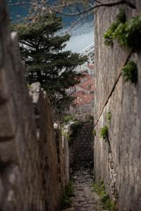 Step to Kotor Bay Old Town