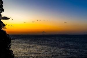 The View Minamiboso - Vacation STAY 16265