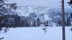 Lomahuoneisto paritalossa Puustila B