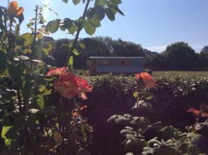 Roulotte De Luxe Vue Mer 180°