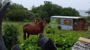 Roulotte De Luxe Vue Mer 180°