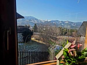 Chatka Pod Kasztanem