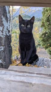 Δωμάτιο σε αγροτικό σπίτι