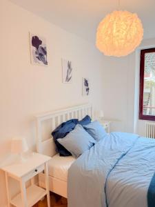 Central Geneva Cozy Apartment