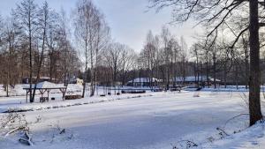 Domki Zacisze w Bobrzy