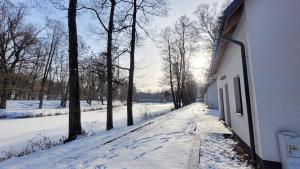 Domki Zacisze w Bobrzy