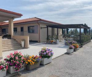 Hotel 325 Tor Vergata