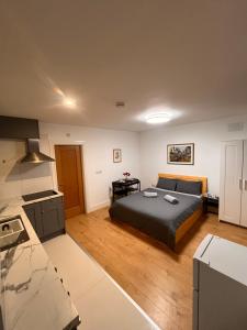 Phoenix Park Urban Studio 1