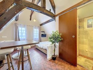 Studio center historique - Le refuge de lantiquaire