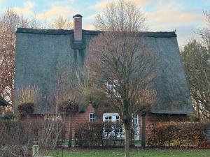 Wohnung Niemark Gestüt Kriseby