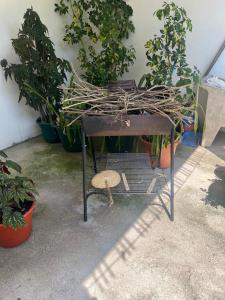 Casa Ofir