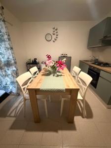 CASA ELISA