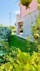 Casa Paradiso La Cinta San Teodoro img42