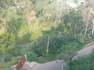 Anu Home Stay