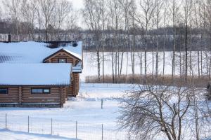 Private lakeside log house with fireplace - Ezernams Dzintars
